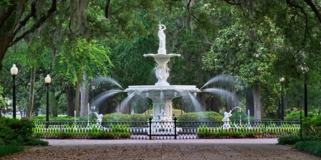 Habersham Dental Group, your top dentist in Savannah, GA